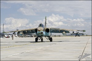 D71_8642